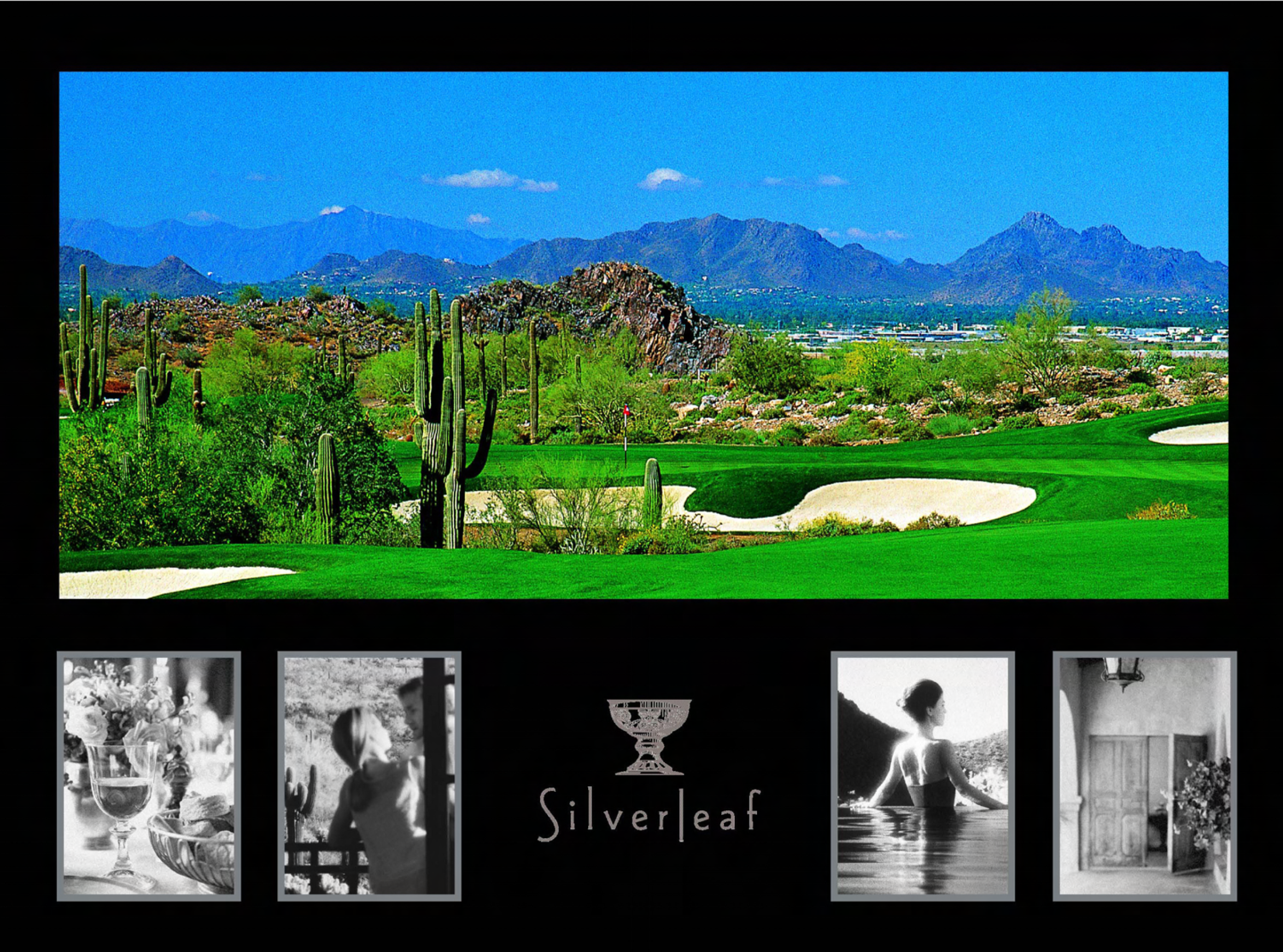 DMB Real Estate Developers: Silverleaf